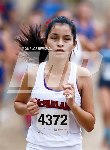 Thumbnail 1 in CIF Central Section Cross Country Championships (Girls D1 Race) photogallery.