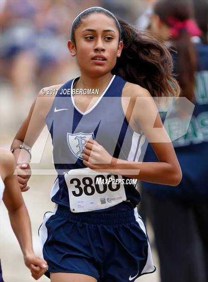 Thumbnail 2 in CIF Central Section Cross Country Championships (Girls D1 Race) photogallery.