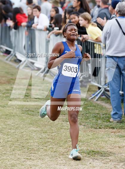 Thumbnail 1 in CIF Central Section Cross Country Championships (Girls D1 Race) photogallery.