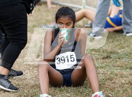 Thumbnail 1 in CIF Central Section Cross Country Championships (Girls D1 Race) photogallery.