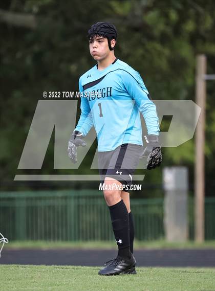 Thumbnail 1 in Hough @ Myers Park photogallery.