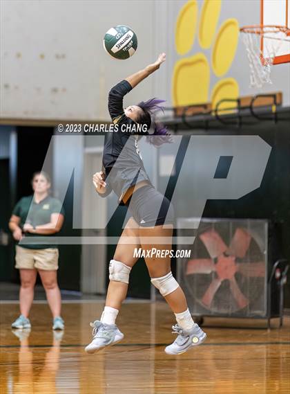Thumbnail 1 in Petaluma vs Maria Carrillo photogallery.