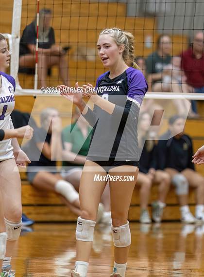 Thumbnail 1 in Petaluma vs Maria Carrillo photogallery.