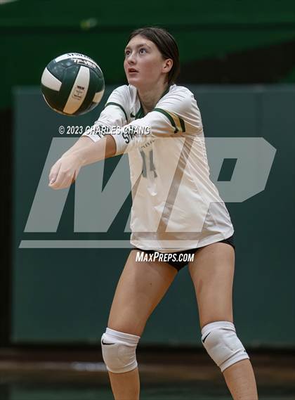 Thumbnail 1 in Petaluma vs Maria Carrillo photogallery.