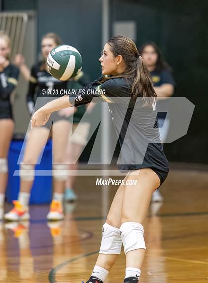 Thumbnail 3 in Petaluma vs Maria Carrillo photogallery.