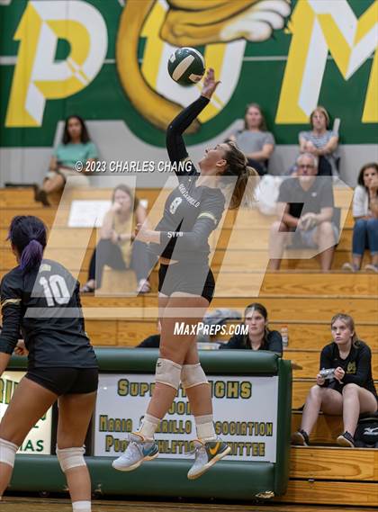 Thumbnail 1 in Petaluma vs Maria Carrillo photogallery.