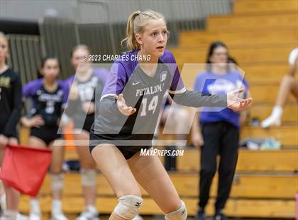 Thumbnail 3 in Petaluma vs Maria Carrillo photogallery.