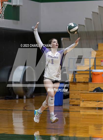 Thumbnail 3 in Petaluma vs Maria Carrillo photogallery.
