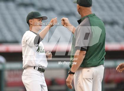 Thumbnail 1 in Brea Olinda vs Canyon photogallery.