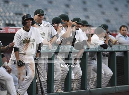 Thumbnail 2 in Brea Olinda vs Canyon photogallery.