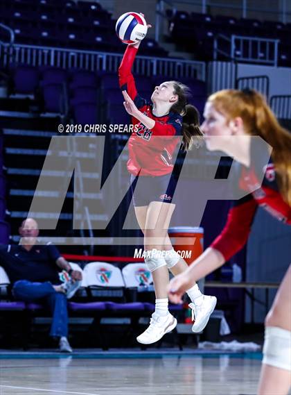 Thumbnail 1 in Vanguard @ Ponte Vedra (FHSAA 5A Final) photogallery.