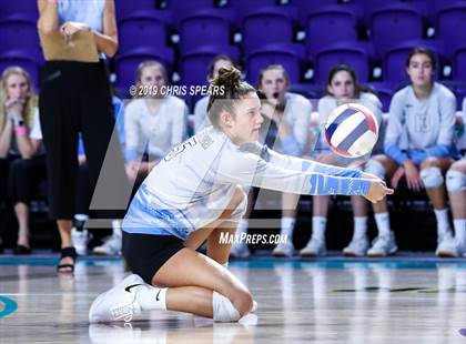 Thumbnail 2 in Vanguard @ Ponte Vedra (FHSAA 5A Final) photogallery.