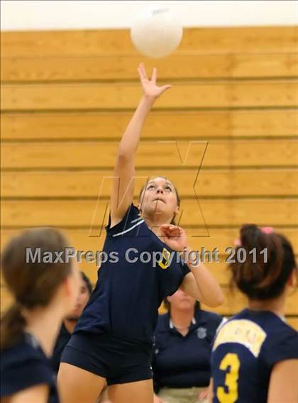 Thumbnail 1 in Woodland @ Inderkum photogallery.