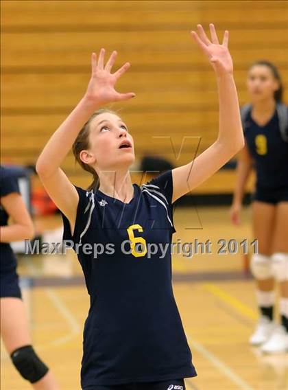 Thumbnail 3 in Woodland @ Inderkum photogallery.