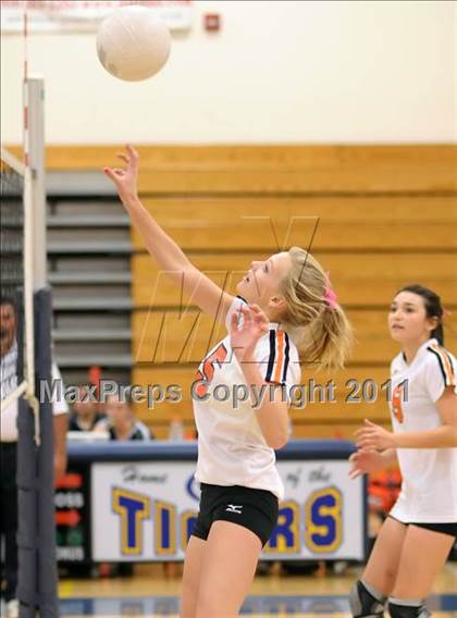 Thumbnail 3 in Woodland @ Inderkum photogallery.