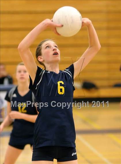 Thumbnail 1 in Woodland @ Inderkum photogallery.