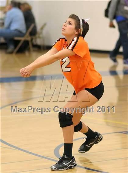 Thumbnail 1 in Woodland @ Inderkum photogallery.