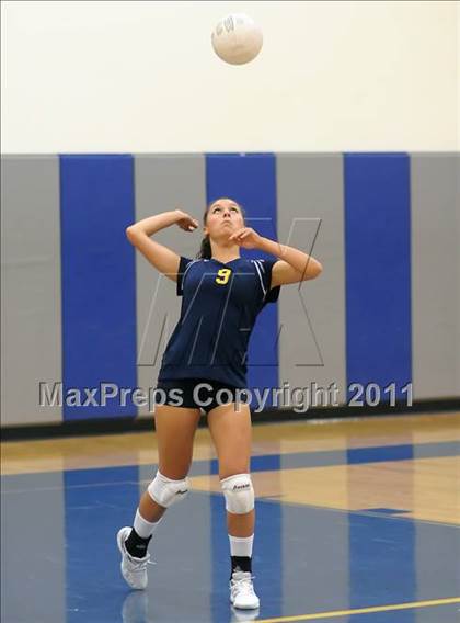Thumbnail 1 in Woodland @ Inderkum photogallery.