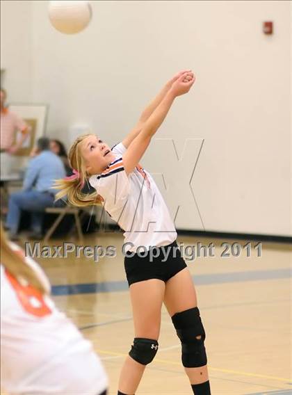 Thumbnail 1 in Woodland @ Inderkum photogallery.