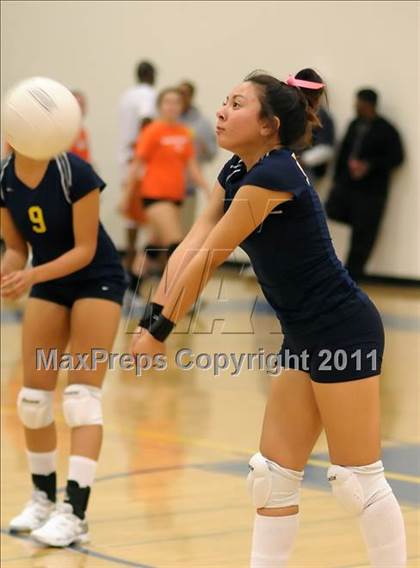 Thumbnail 1 in Woodland @ Inderkum photogallery.