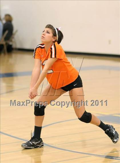 Thumbnail 2 in Woodland @ Inderkum photogallery.