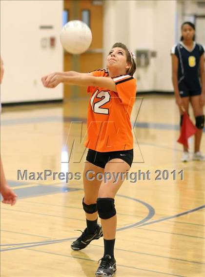 Thumbnail 1 in Woodland @ Inderkum photogallery.