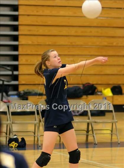Thumbnail 2 in Woodland @ Inderkum photogallery.