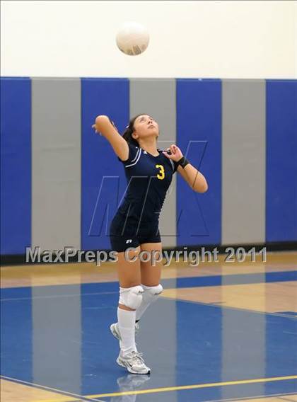 Thumbnail 3 in Woodland @ Inderkum photogallery.