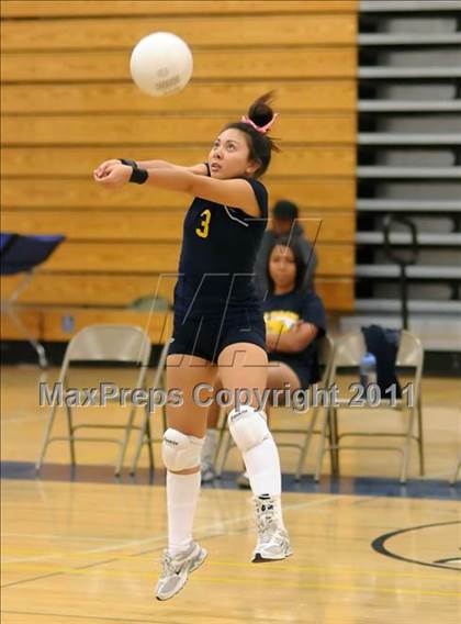 Thumbnail 3 in Woodland @ Inderkum photogallery.