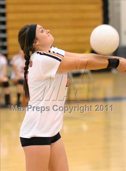 Thumbnail 3 in Woodland @ Inderkum photogallery.