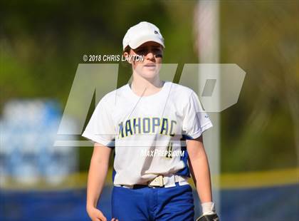 Thumbnail 3 in Arlington @ Mahopac photogallery.