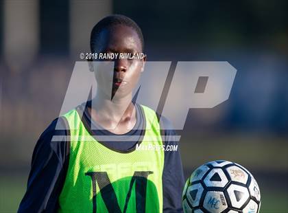 Thumbnail 3 in Jay M. Robinson @ Mallard Creek photogallery.