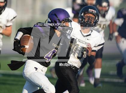 Thumbnail 1 in Enochs @ Tokay photogallery.