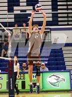 Photo from the gallery "Davis @ Ridgeline"