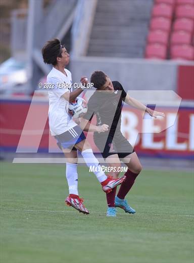 null - Photo 11