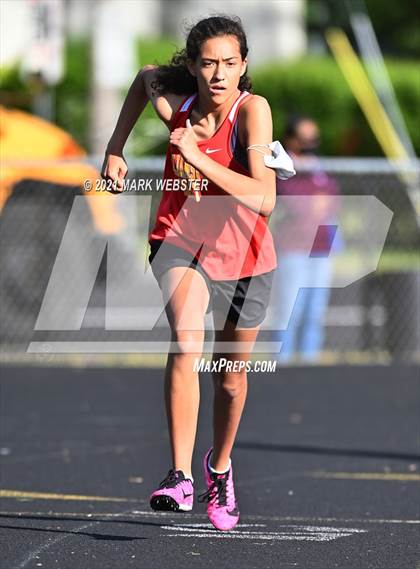 Thumbnail 2 in Williamsville East @ Hamburg photogallery.
