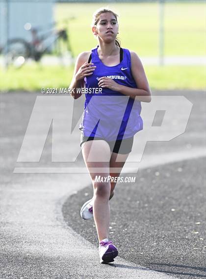 Thumbnail 1 in Williamsville East @ Hamburg photogallery.