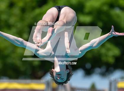 Thumbnail 2 in CIF Diving Championships photogallery.