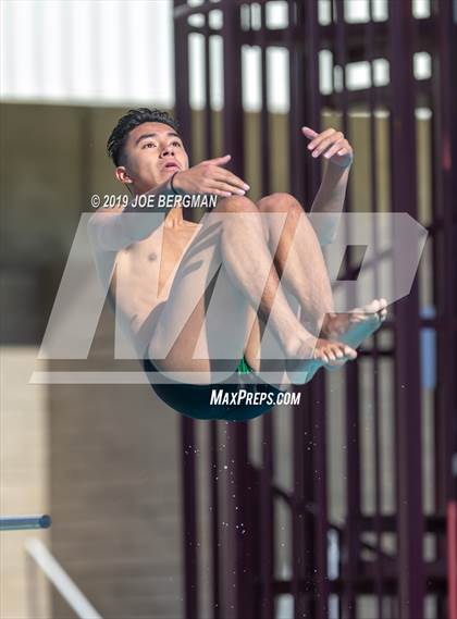 Thumbnail 1 in CIF Diving Championships photogallery.