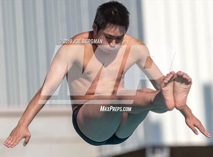 Thumbnail 3 in CIF Diving Championships photogallery.