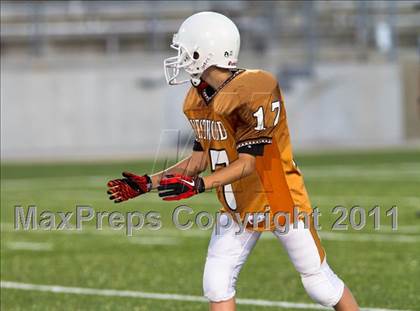 Thumbnail 2 in Lee Freshmen A @ Round Rock Westwood Freshmen White photogallery.