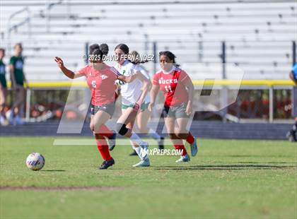Thumbnail 3 in Pinecrest @ Hoke County photogallery.