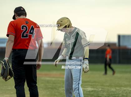 Thumbnail 3 in Skyline @ Brentsville District photogallery.