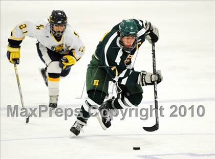 Thumbnail 2 in Hamden @ East Haven photogallery.