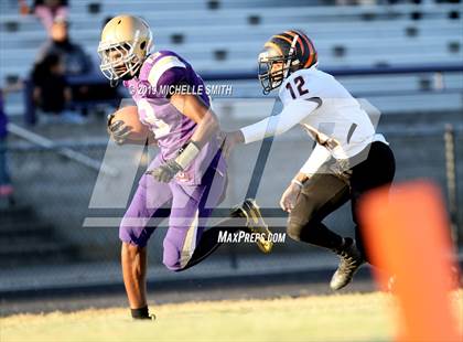 Thumbnail 3 in Fern Creek @ Male  photogallery.