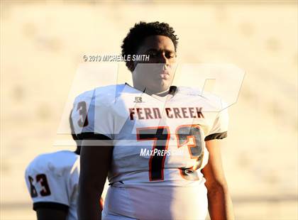 Thumbnail 3 in Fern Creek @ Male  photogallery.
