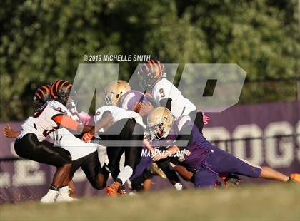 Thumbnail 3 in Fern Creek @ Male  photogallery.