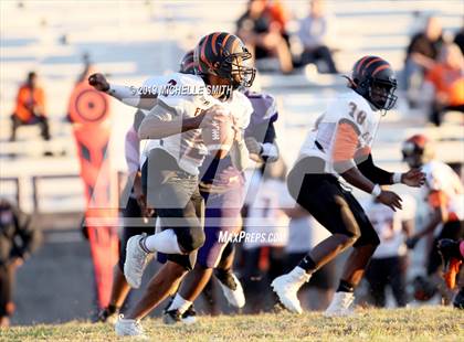 Thumbnail 3 in Fern Creek @ Male  photogallery.