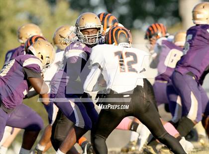 Thumbnail 2 in Fern Creek @ Male  photogallery.