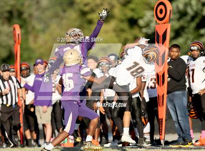 Thumbnail 3 in Fern Creek @ Male  photogallery.